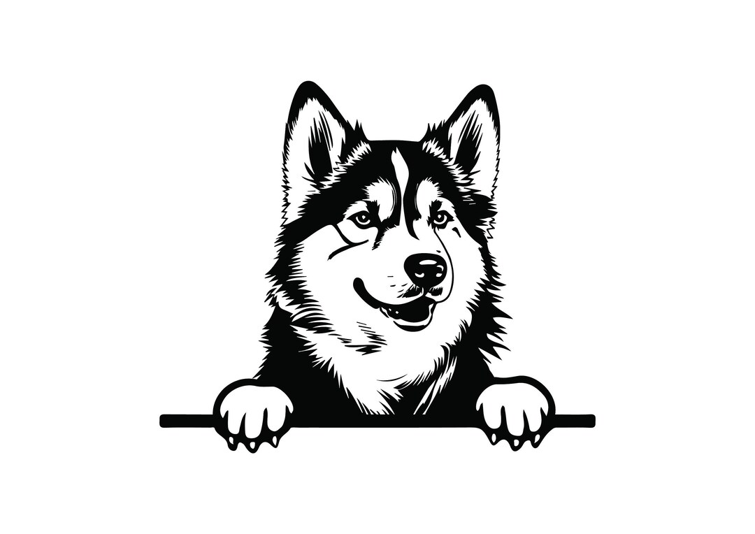 AKITA PUPPIES